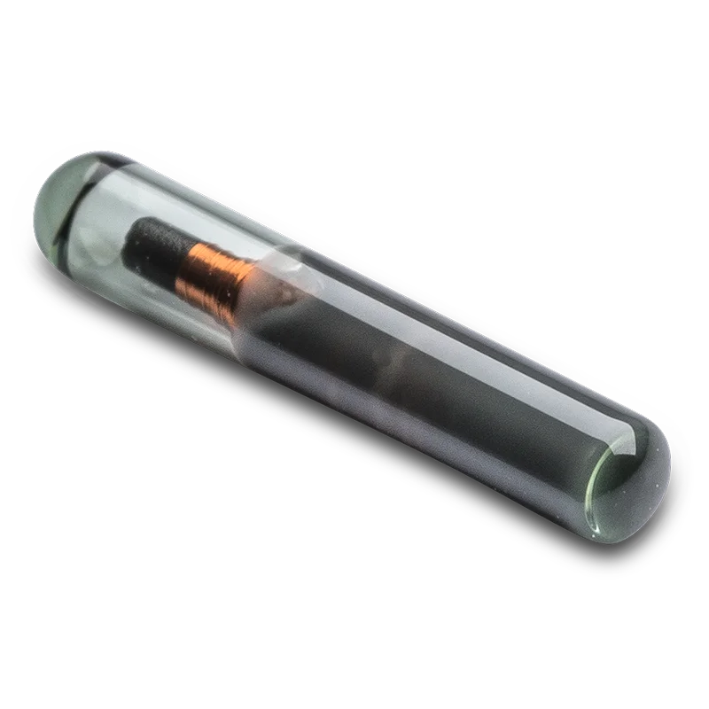 HQ12 from Voda IQ