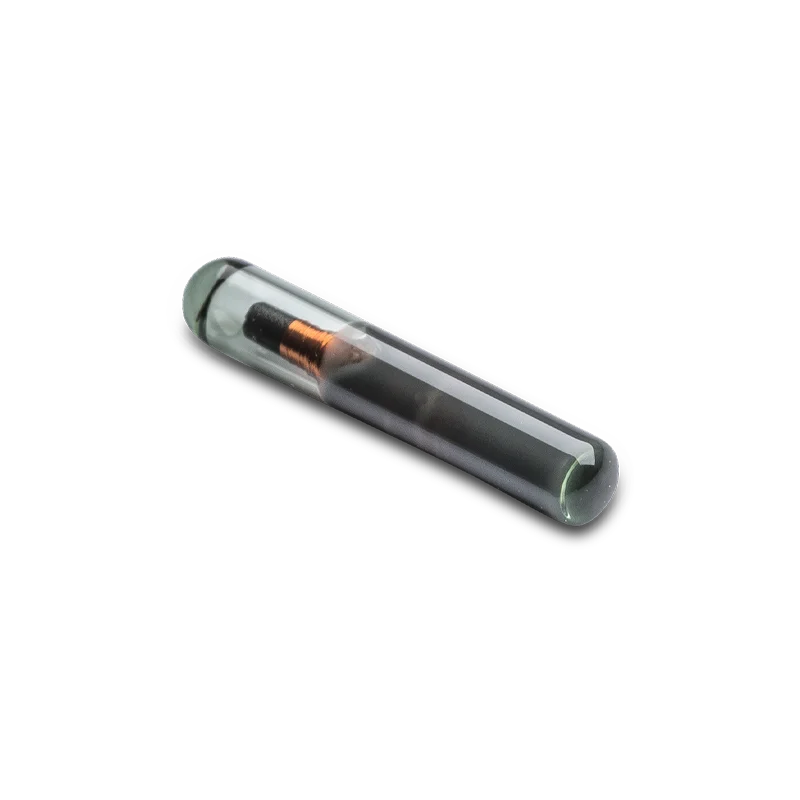 HQ8 from Voda IQ