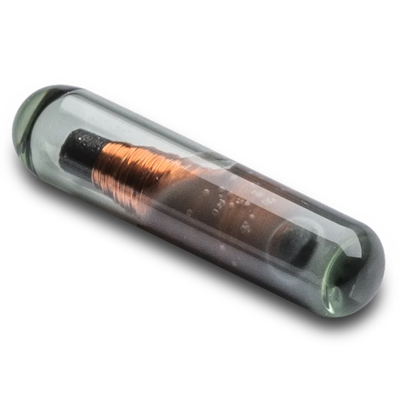 HQ9 from Voda IQ