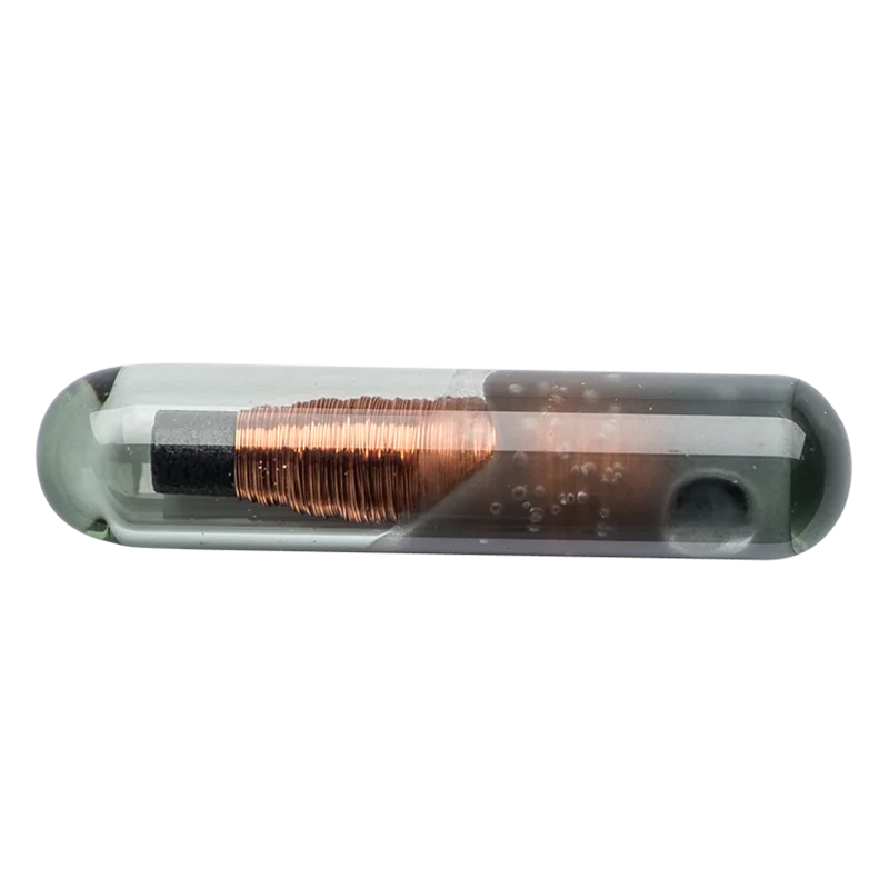 HQ12 PIT Tag Bioglass Injectable Transponder