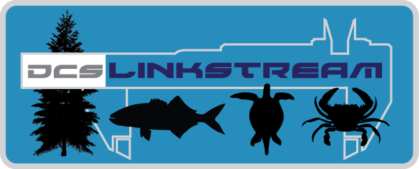 LinkStream Sofware by Big Fin