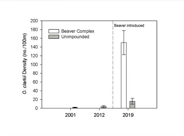 Beaver restoration chart