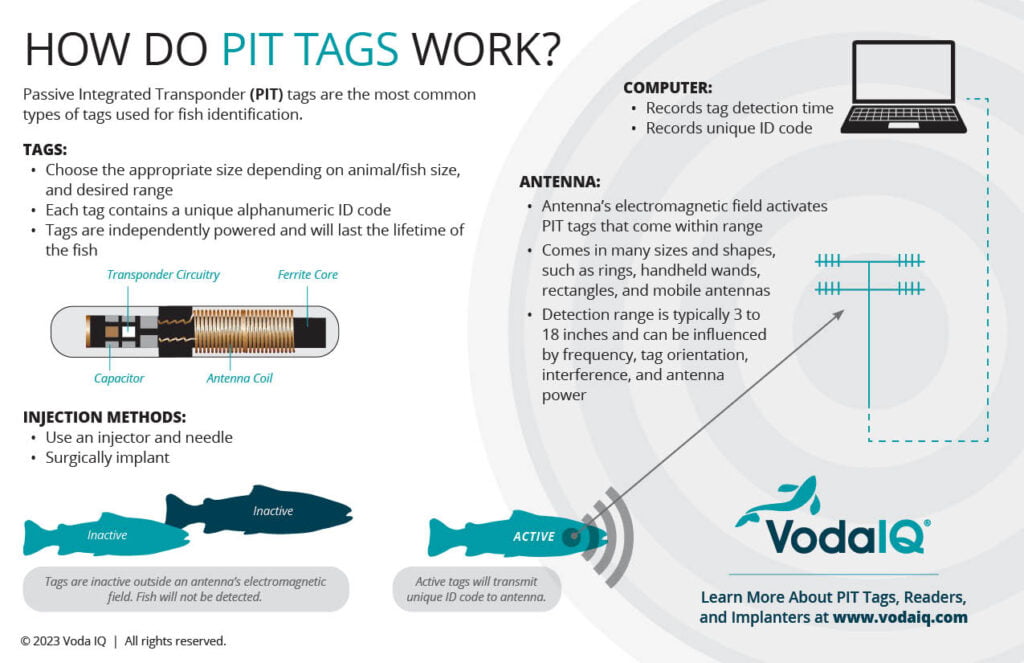 Learn about how PIT tags work with help from Voda IQ