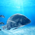 RFID Tag Readers for Precise Data Collection