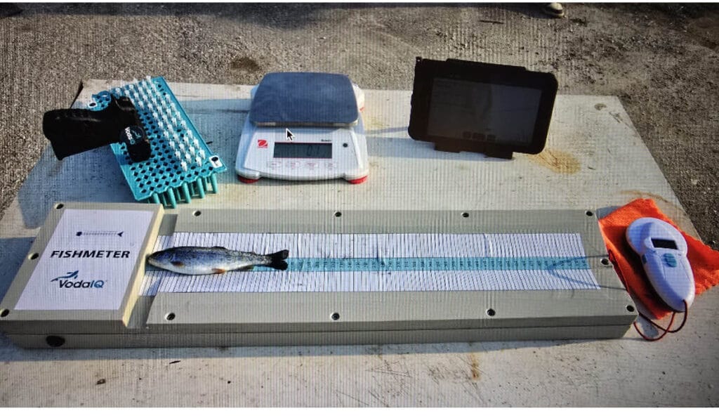 Veloce Measuring Board