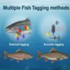 How Fish Tagging Works All the Methods (Implant, External, Acoustic, RFID)