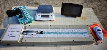 Veloce Measuring Board