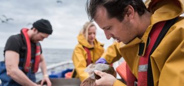 Mussel Tagging 